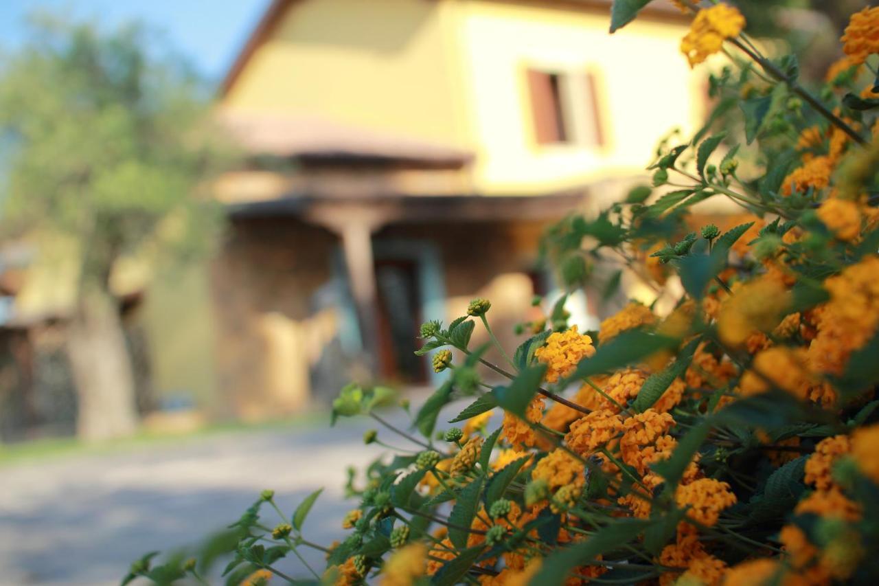 Su Passu Country House เฟอร์ติเลีย ภายนอก รูปภาพ